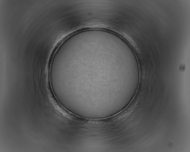 X0000091230840200708231653