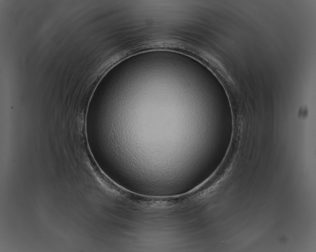 X0000091230841200708231653