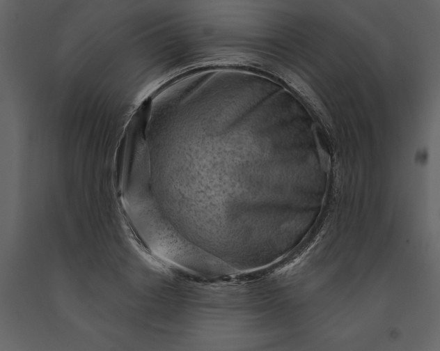X0000091230842200708231653