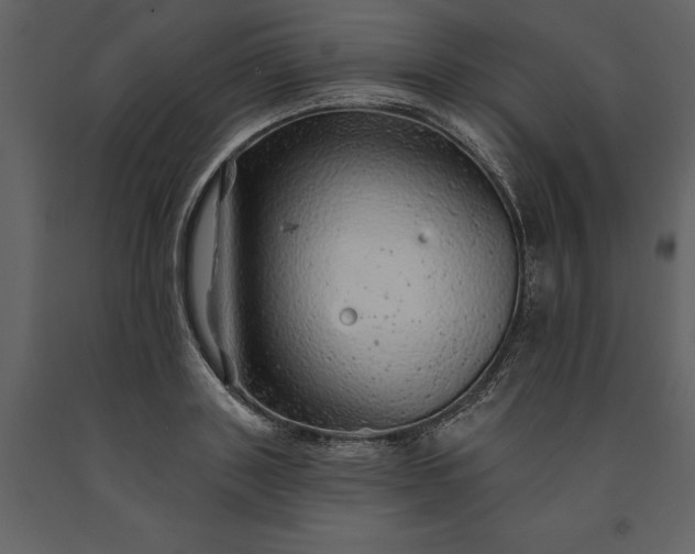 X0000091230843200708231653