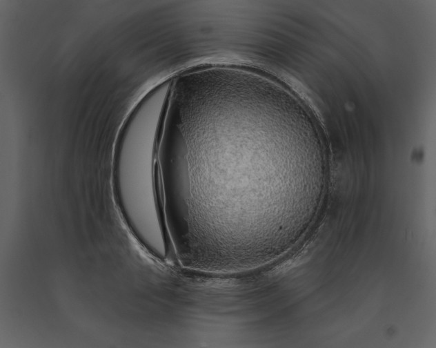 X0000091230845200708231653