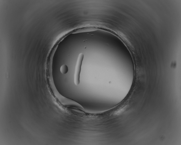X0000091230846200708231653