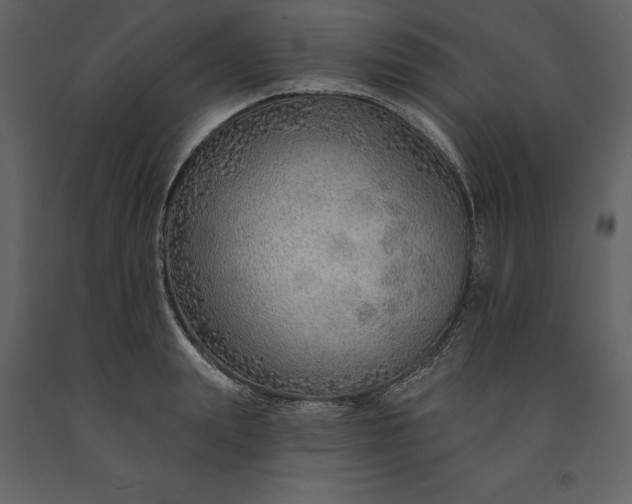 X0000091230847200708231653