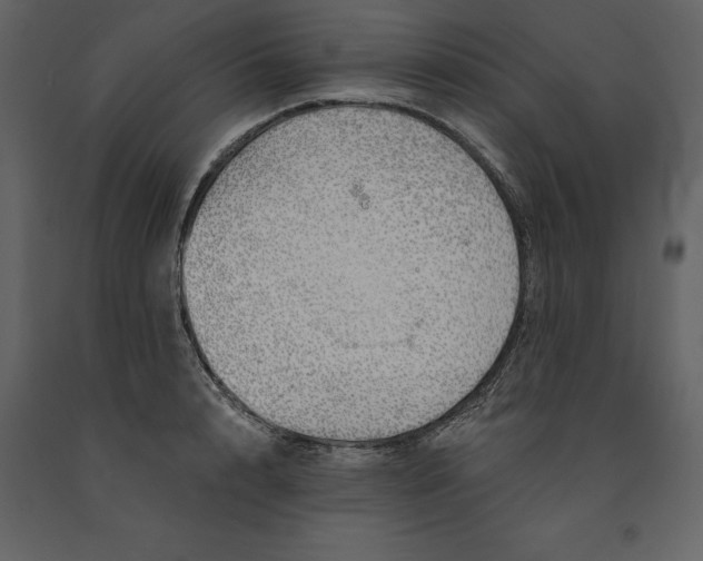 X0000091230848200708231653