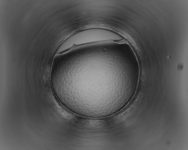 X0000091230849200708231653