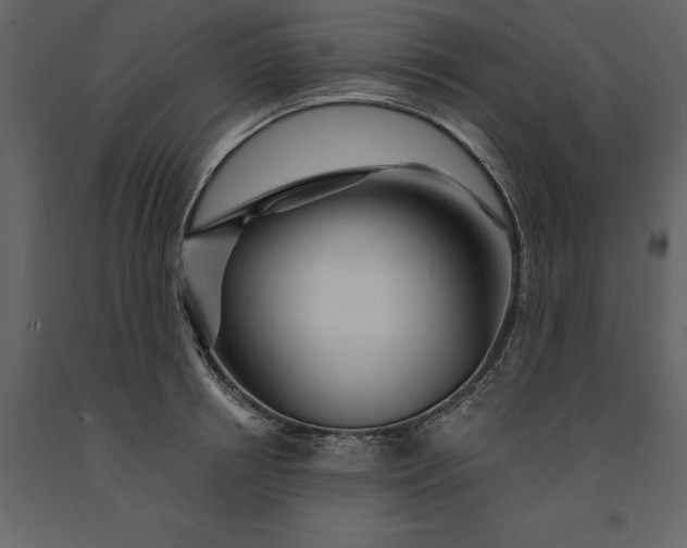 X0000091230850200708231653