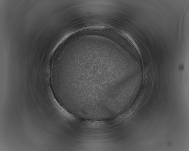 X0000091230851200708231653