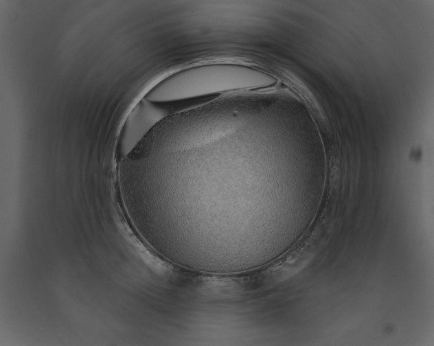 X0000091230852200708231653