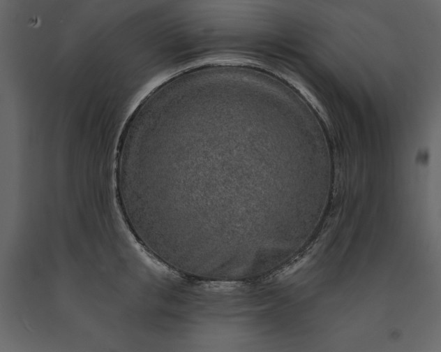 X0000091230853200708231653
