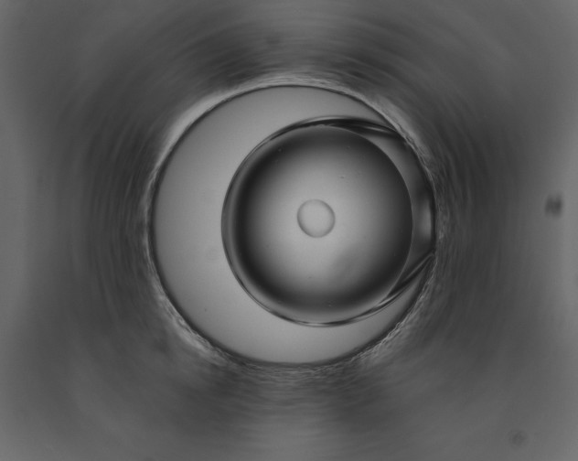 X0000091230854200708231653