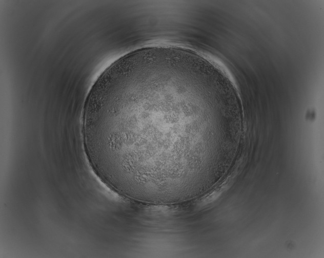 X0000091230855200708231653