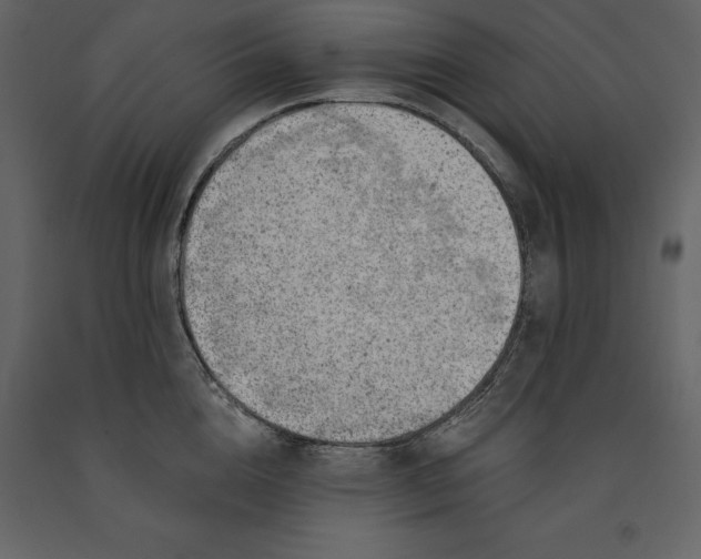 X0000091230856200708231653