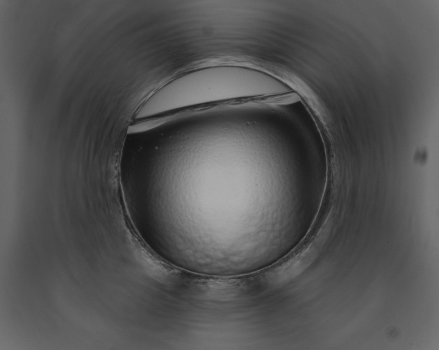 X0000091230857200708231653