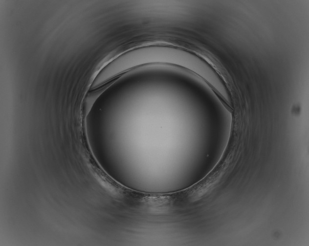X0000091230858200708231653