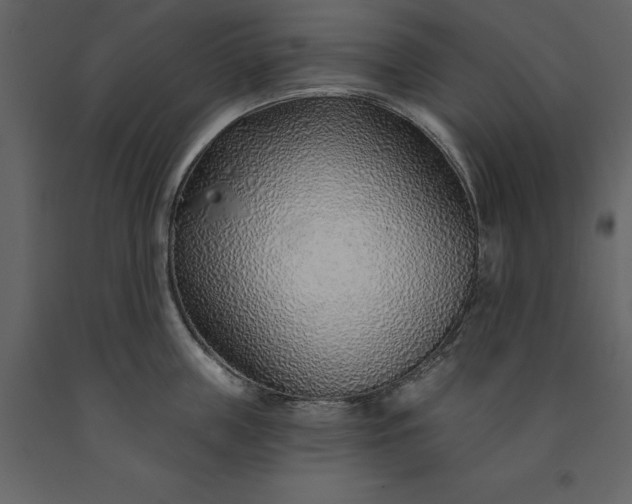 X0000091230859200708231653