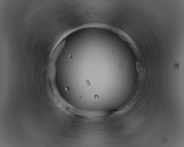 X0000091230860200708231653