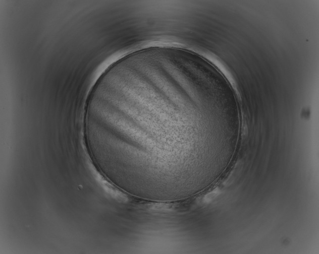 X0000091230861200708231653
