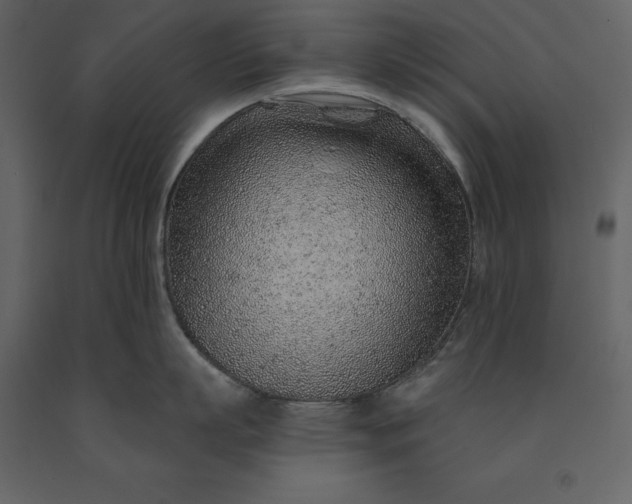 X0000091230863200708231653