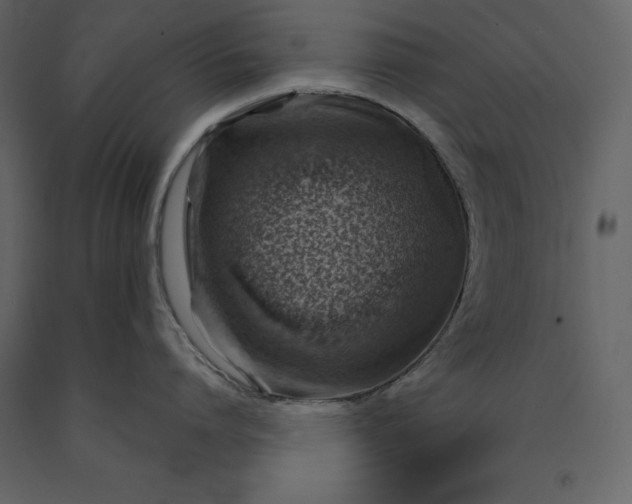 X0000091230864200708231653