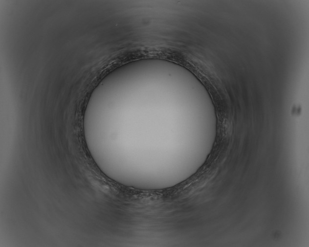 X0000091230865200708231652