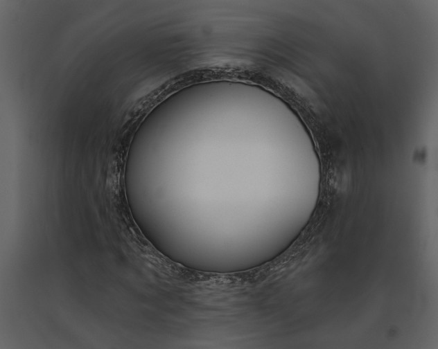 X0000091230869200708231652