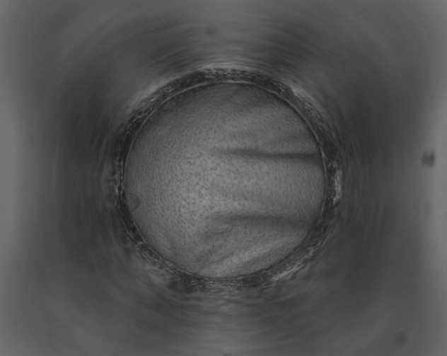 X0000091230870200708231652