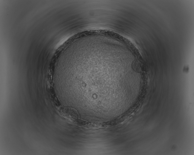 X0000091230871200708231652
