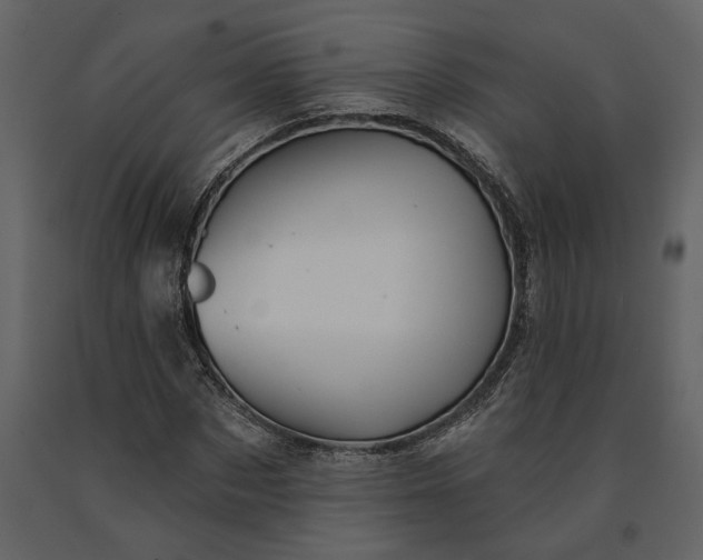 X0000091230873200708231652