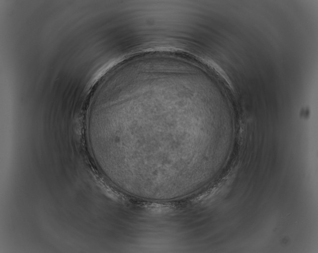 X0000091230874200708231652