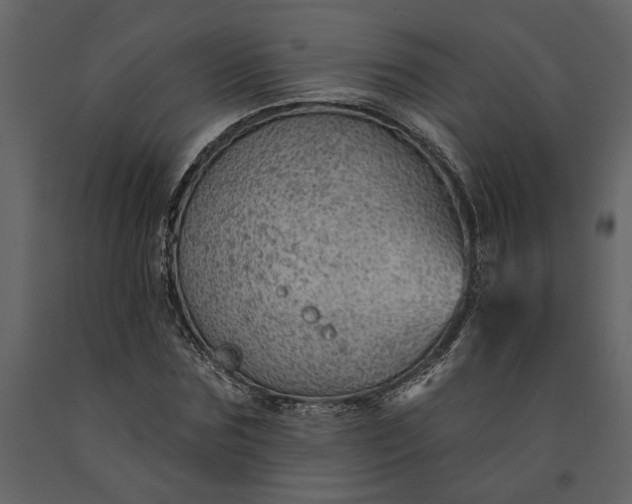 X0000091230875200708231652