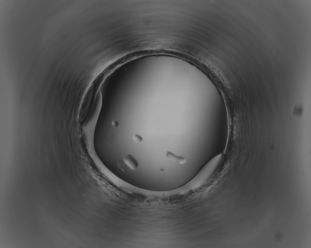 X0000091230876200708231652