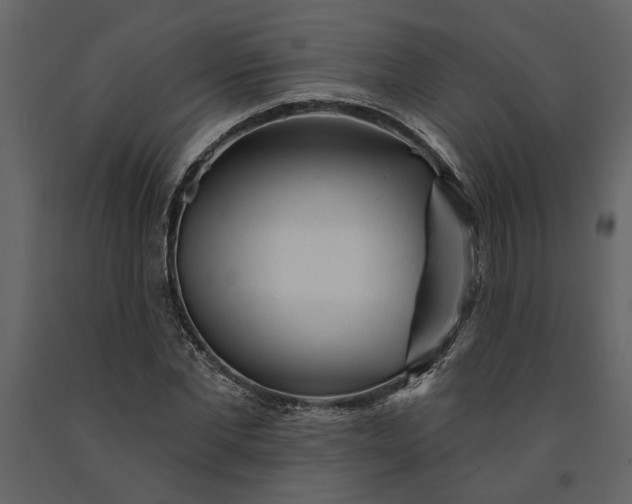 X0000091230877200708231652
