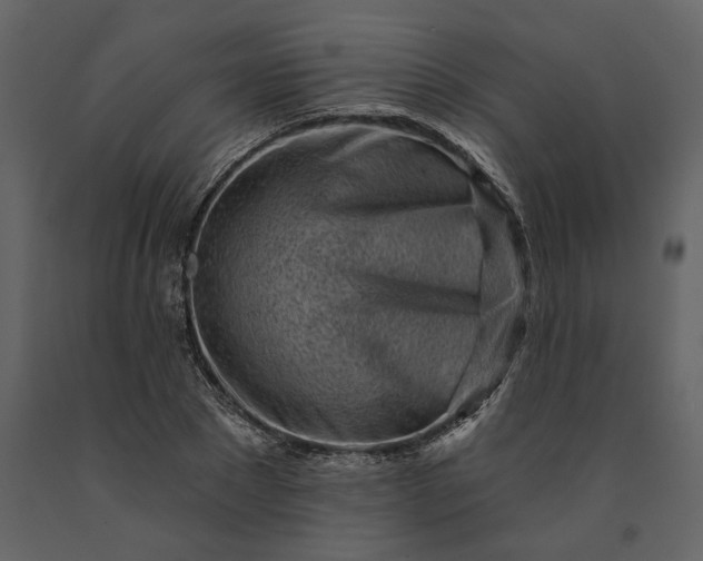 X0000091230881200708231652