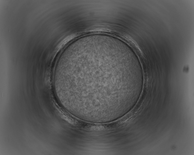 X0000091230882200708231652