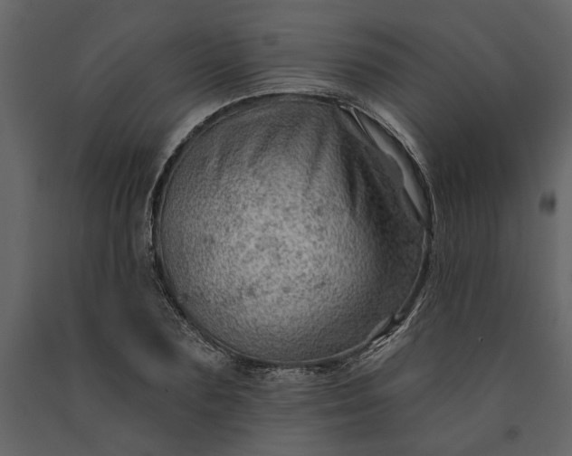 X0000091230883200708231652