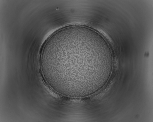 X0000091230886200708231652