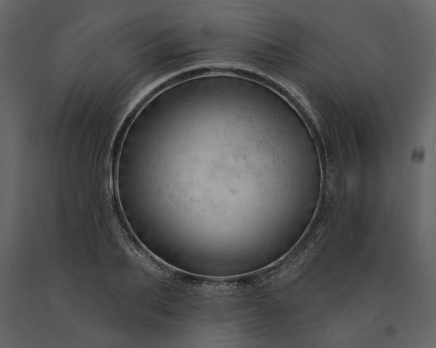 X0000091230887200708231652