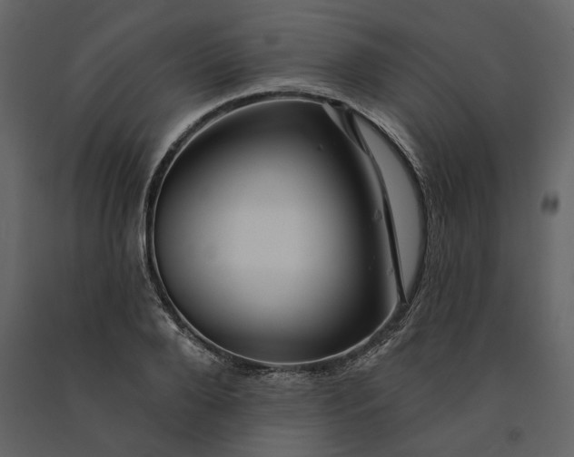 X0000091230888200708231652