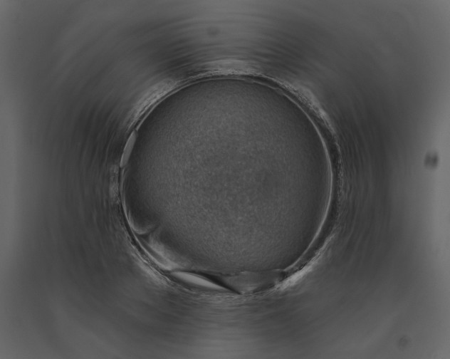 X0000091230889200708231652