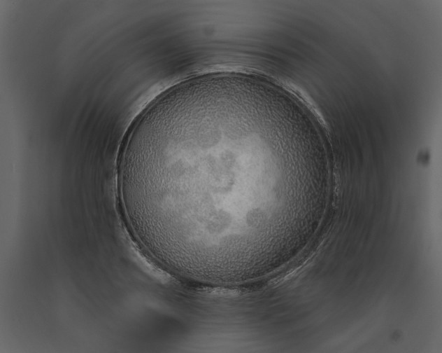 X0000091230890200708231652