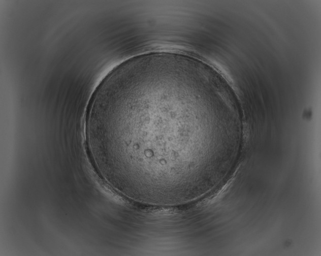 X0000091230891200708231652