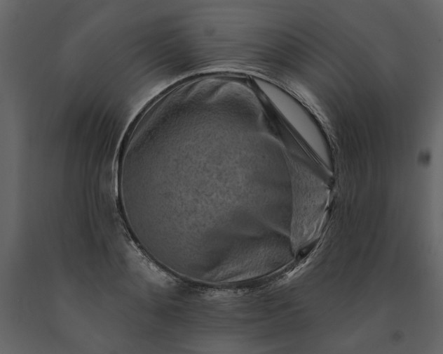 X0000091230892200708231652