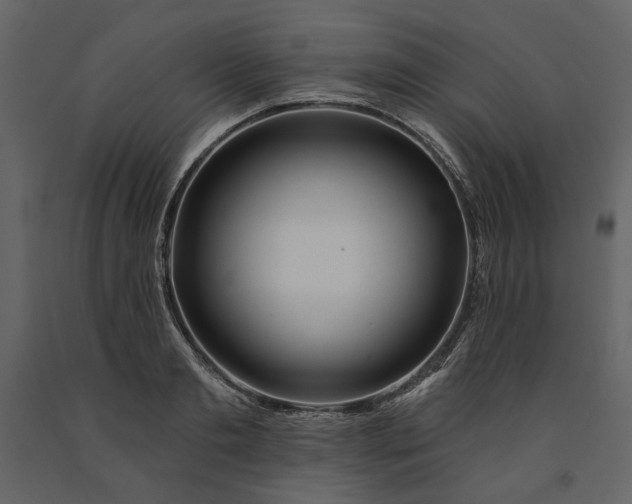 X0000091230893200708231652
