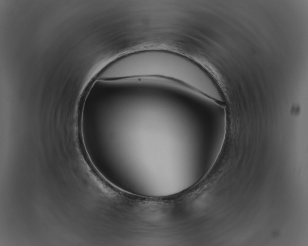 X0000091230894200708231652
