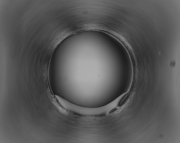 X0000091230897200708231652