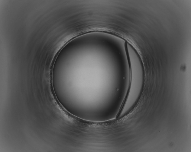 X0000091230898200708231652