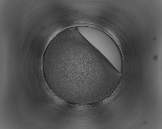 X0000091230899200708231652