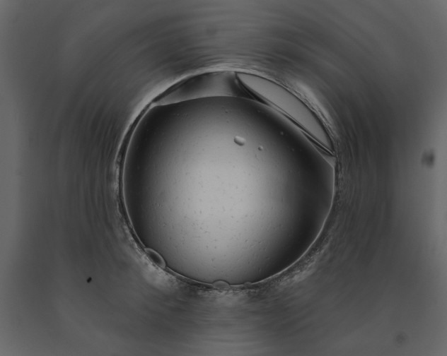X0000091230900200708231652
