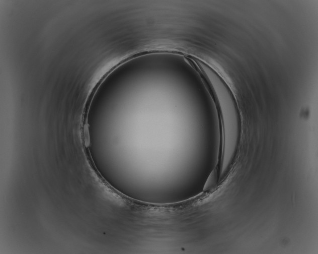 X0000091230901200708231652