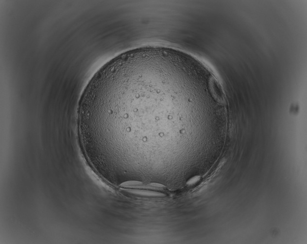 X0000091230903200708231652
